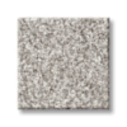 Shaw Kissena Park Flour Texture Carpet with Pet Perfect-Sample